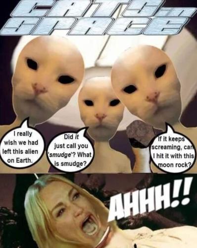 FB_IMG_1698011892306