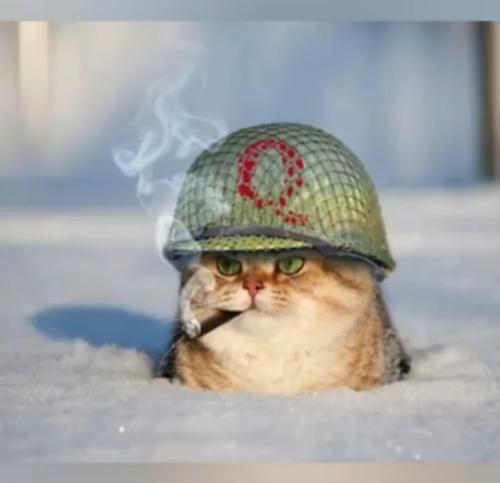 Screenshot_20231019_122014_Photos