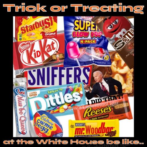 FB_IMG_1698238509239