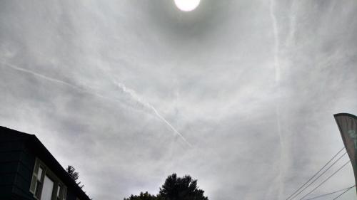 d7154ed2-d560-4c66-953c-72b1359f902b