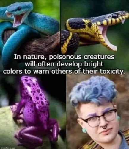Toxic creatures