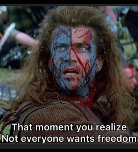 Screenshot_20231024_005106_Gallery