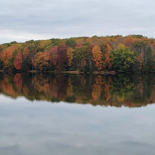 IMG_20231018_203218_757