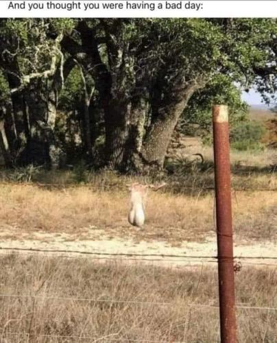 FB_IMG_1696432142262