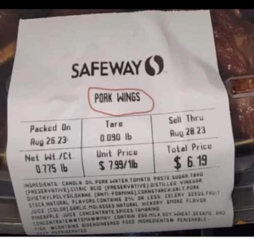 386358034_6586062421429913_817139060481134485_n