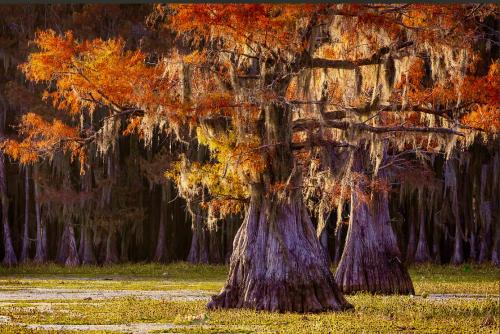 0A346EE9-F186-4EB5-92F1-90A8D1921121