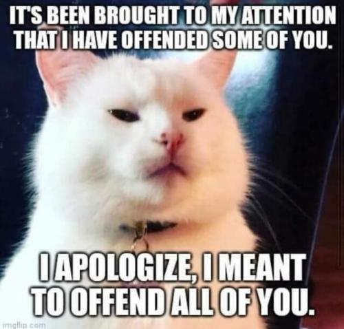 FB_IMG_1697520307395