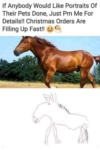 376267287_2573086446205903_881089424620960875_n