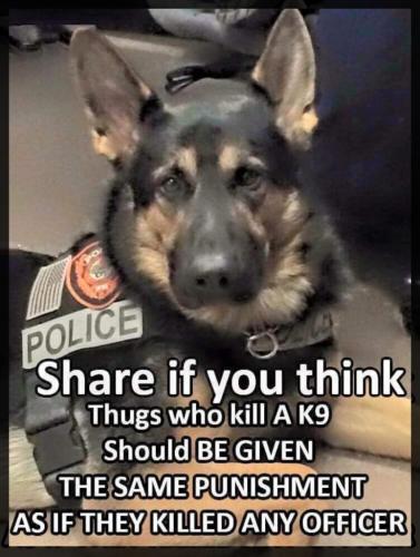 771b6b86-14b7-43fd-90e9-1cf314413843