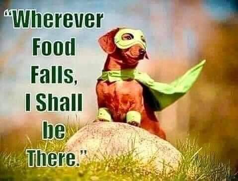 FB_IMG_1696877161593