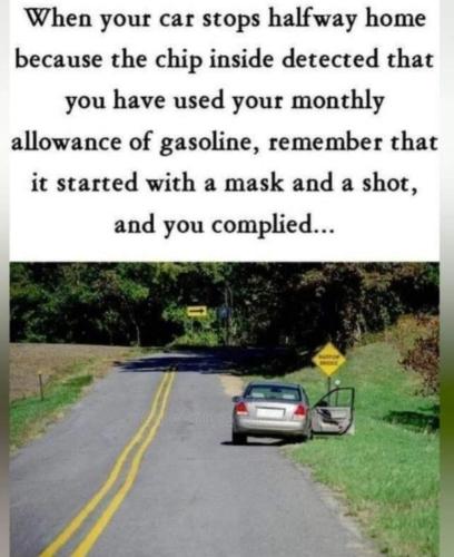 FB_IMG_1696253715499