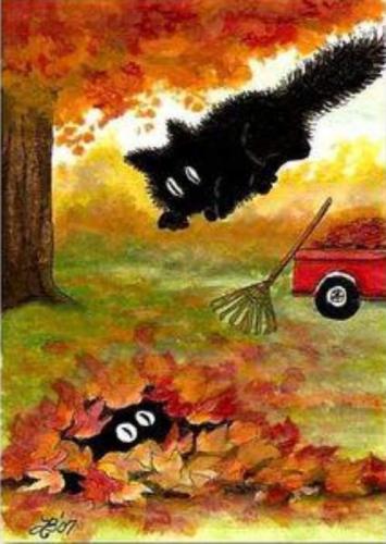 FB_IMG_1697637370996
