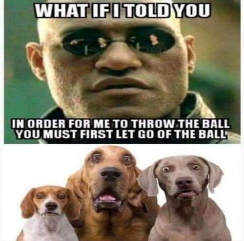FB_IMG_1697571262235