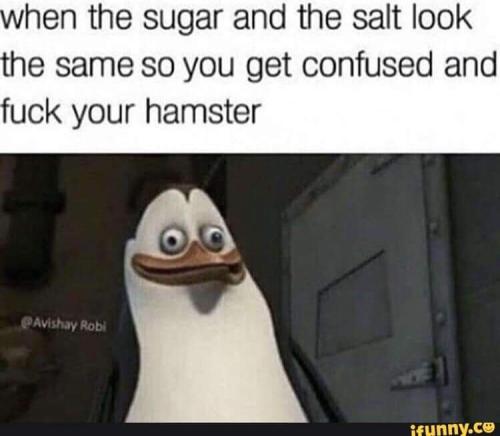 FB_IMG_1697266008961