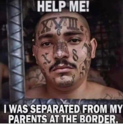 8C29A35B-F7DD-4333-9B25-63E36408324A