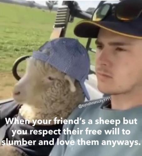 photo_2023-10-04_22-14-49