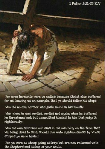 4ea9c126-35d3-4a20-aa71-1f136fcba149