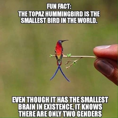 FB_IMG_1697549298533
