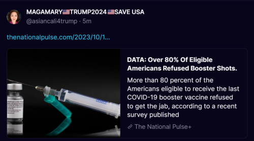 Screenshot 2023-10-10 134338