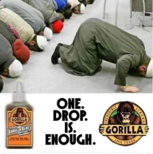 FB_IMG_1697540273034