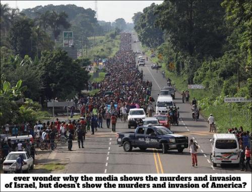 illegal immigration353