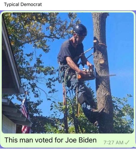 CE7FB454-504C-4A30-B048-4DEC6347B288