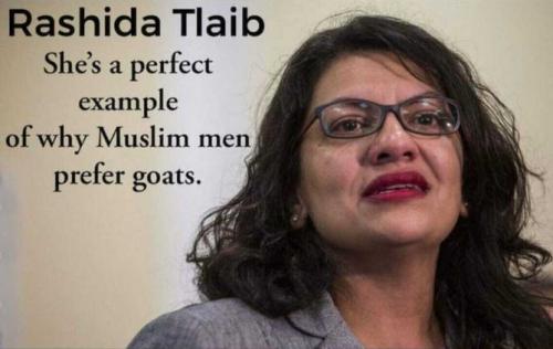 tlaib17
