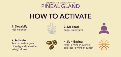 Decalcify Pineal Gland