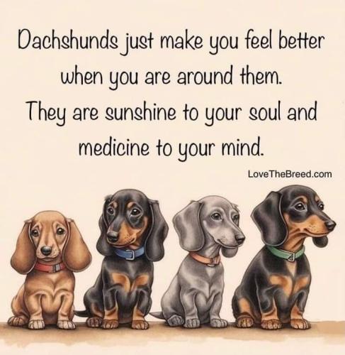 FB_IMG_1696273055023