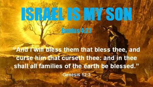 8728b494-6408-4187-94d5-484611123bb9