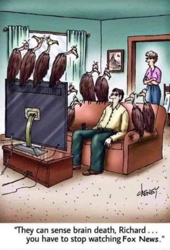 FB_IMG_1697017466294