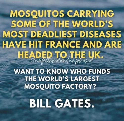 Screenshot_20231004_181656_Chrome