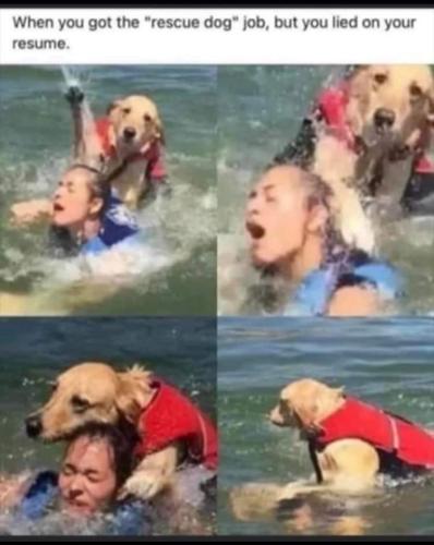 FB_IMG_1697125985753