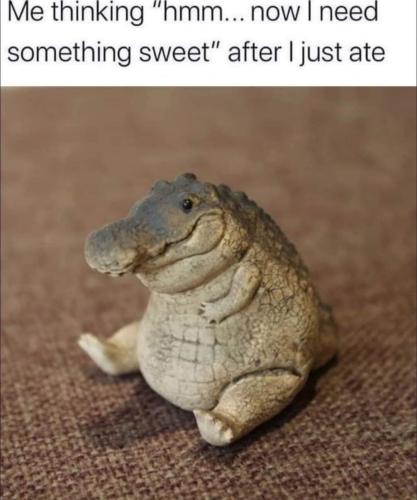 FB_IMG_1696345850787