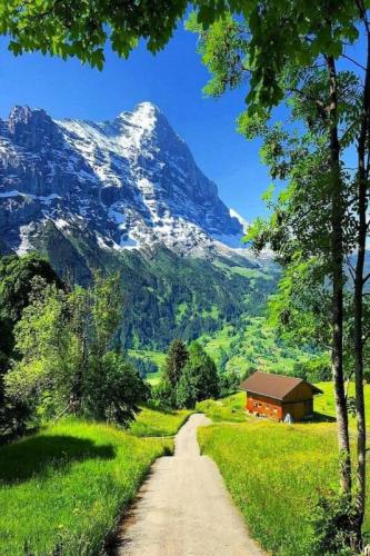 Trail in Switzerland