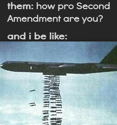 how pro second amendment are you02