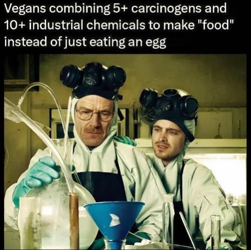 breaking-bad-vegans-carcinogens-industrial-make-food-avoid-egg