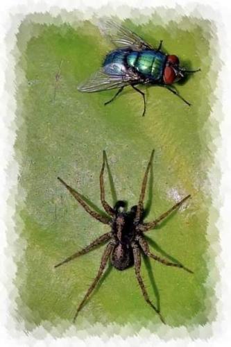 2360f3bf-ad26-4e8d-a70e-9bf31e3a0b83