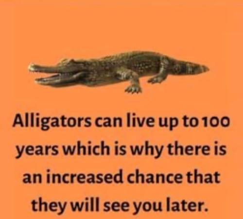 FB_IMG_1696771602213