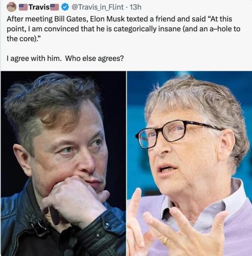 Musk vs Gates
