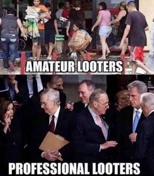 professional looters00
