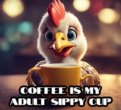 385832071_852155589718973_8607443501165210487_n