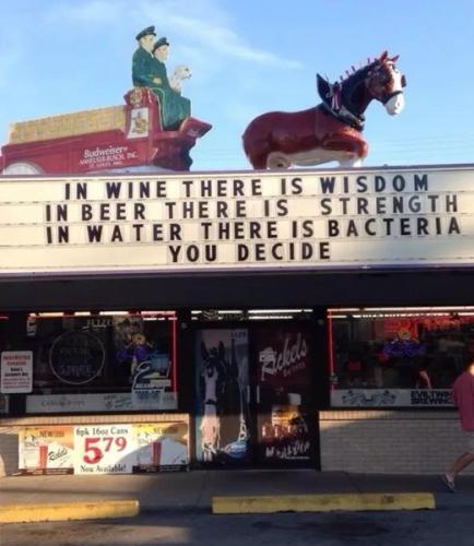 392931470_287117387610449_5143842099298890850_n