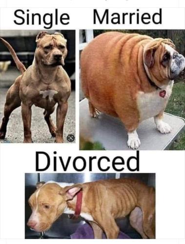 Screenshot_20231023_092715_Wimkin Free Speech Social Media