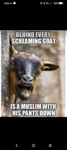 FB_IMG_1696092979806