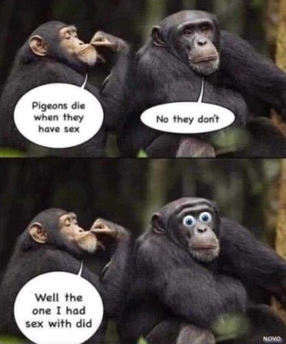 FB_IMG_1697961550630