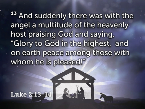 Luke 2_13-14