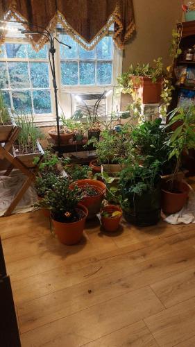 3401d810-e497-40a8-aa7e-9e42e105bccd