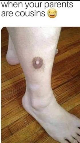 FB_IMG_1698097579126