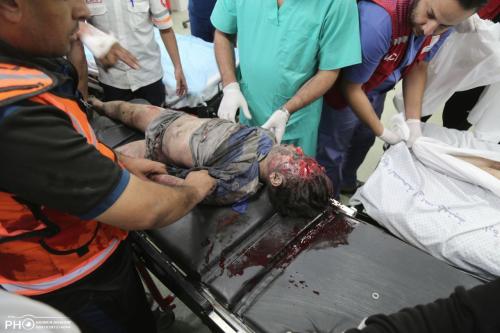 IMG_20231019_230806_442